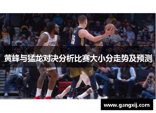 黄蜂与猛龙对决分析比赛大小分走势及预测